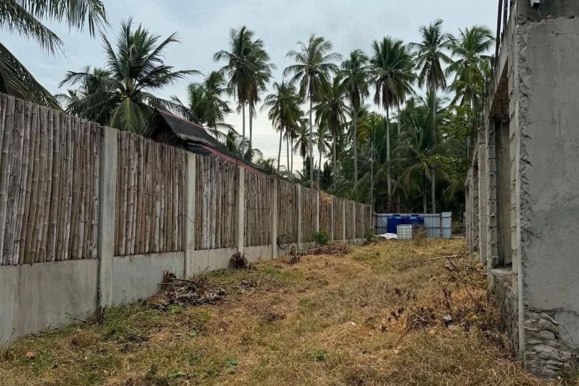 Land for Sale in Dahican, Mati, Davao Oriental – photo 4