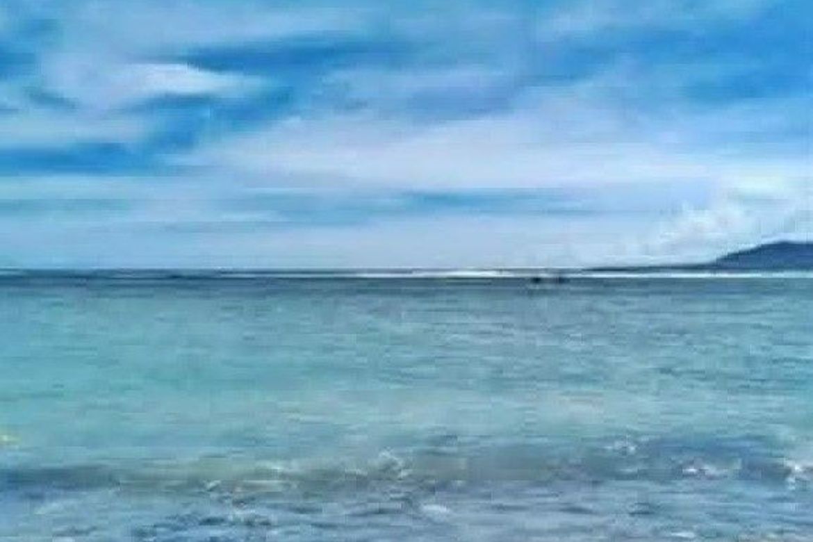 Land for Sale in Dahican, Mati, Davao Oriental – photo 3