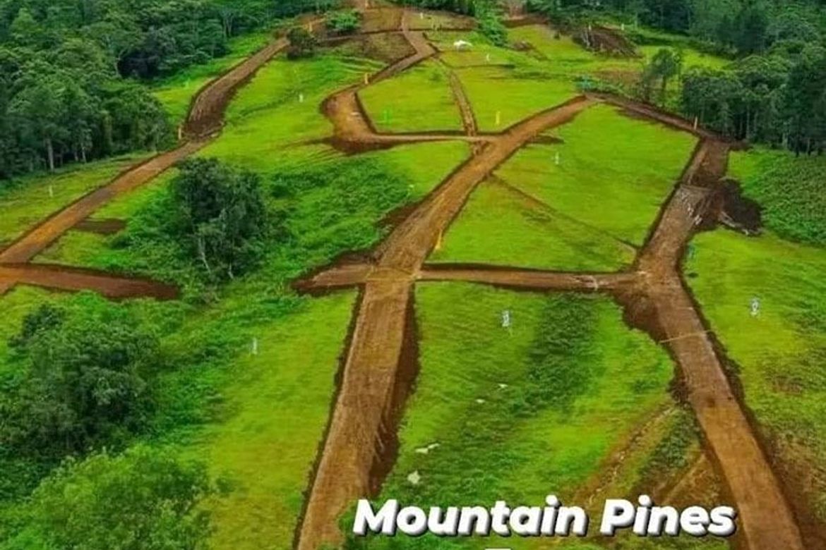 Land for Sale in Dahilayan, Manolo Fortich, Bukidnon