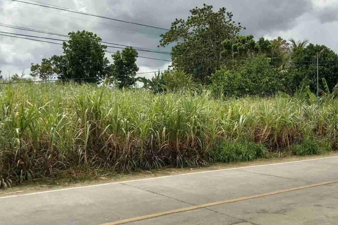 Land for Sale in Dahile, Mabinay, Negros Oriental – photo 3