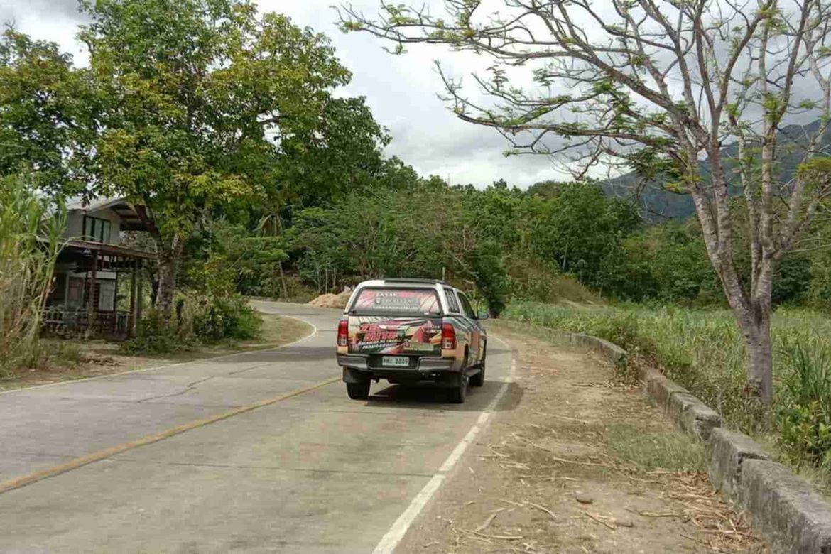 Land for Sale in Dahile, Mabinay, Negros Oriental – photo 4