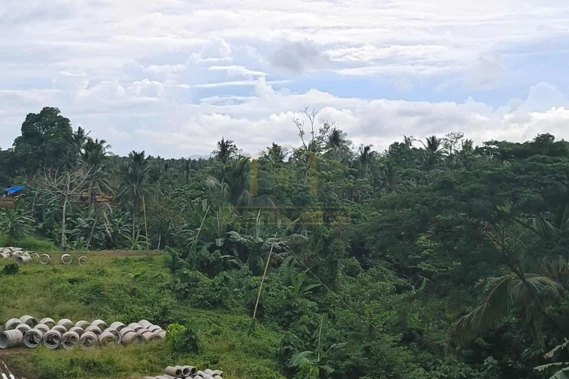 Land for Sale in Daine I, Indang, Cavite – photo 2