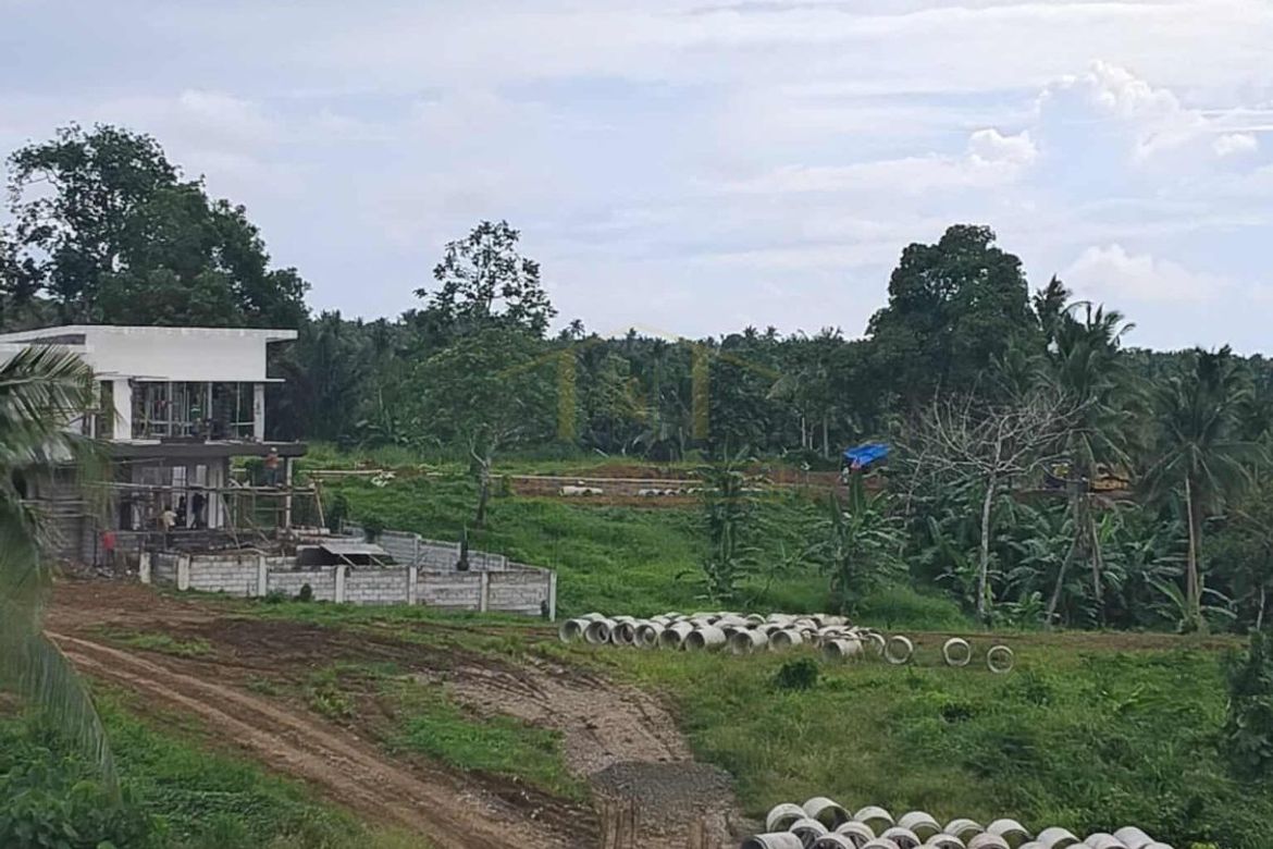 Land for Sale in Daine I, Indang, Cavite – photo 5