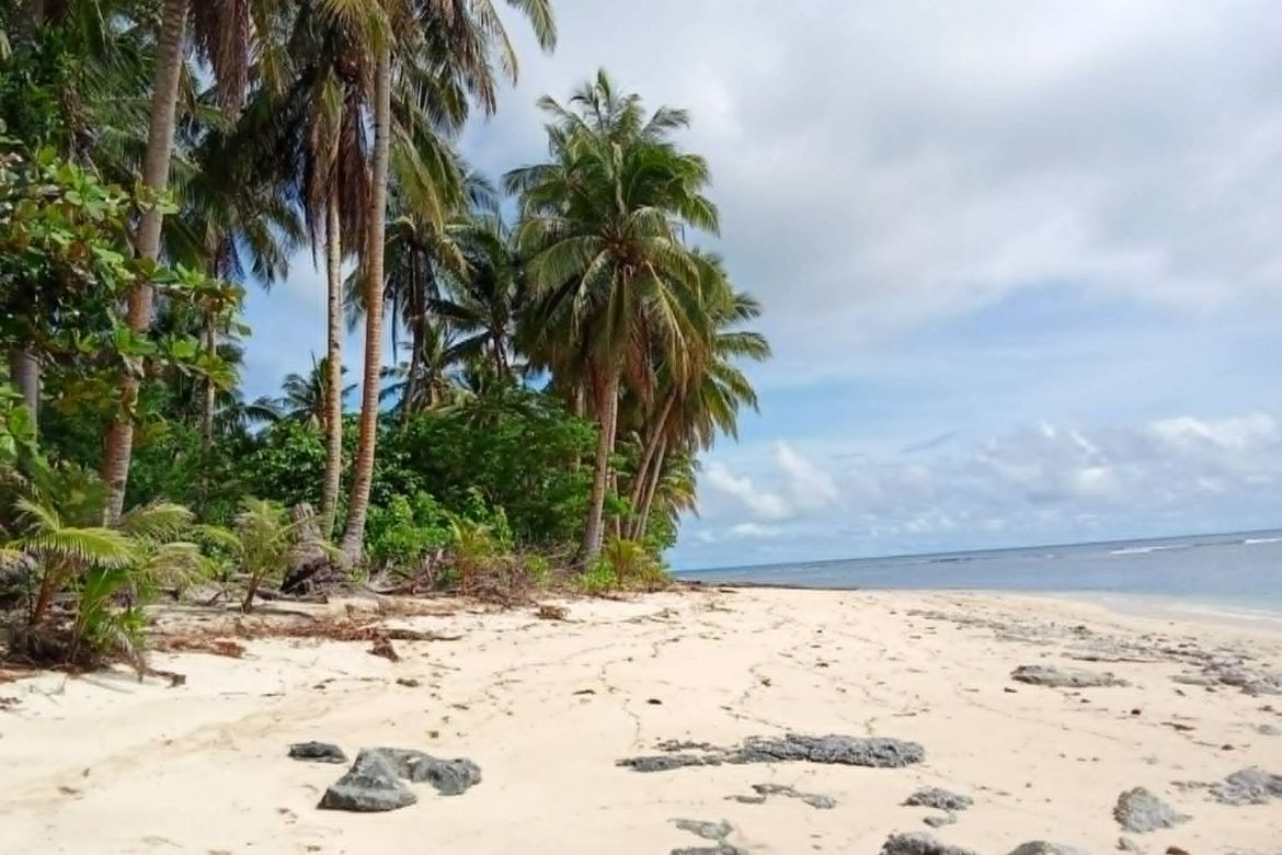 Land for Sale in Daku, General Luna, Surigao del Norte – photo 3