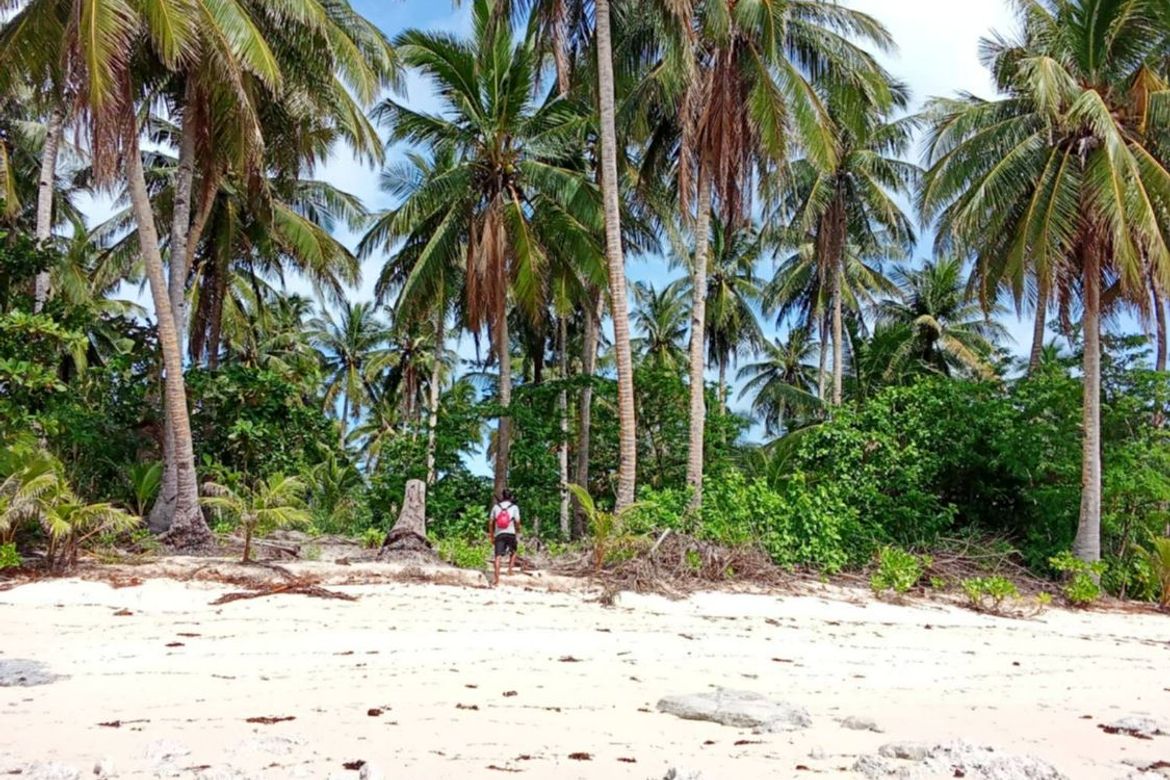 Land for Sale in Daku, General Luna, Surigao del Norte – photo 6