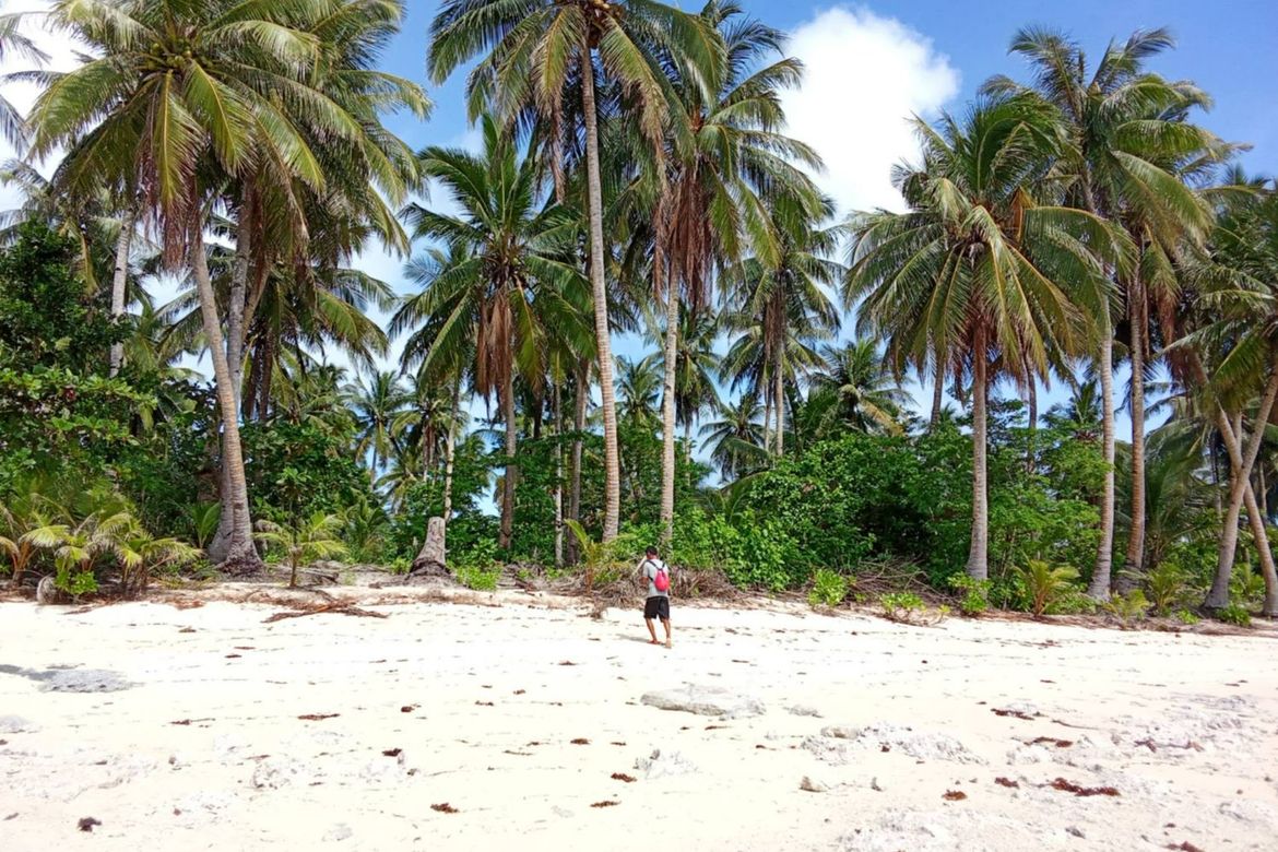 Land for Sale in Daku, General Luna, Surigao del Norte – photo 7