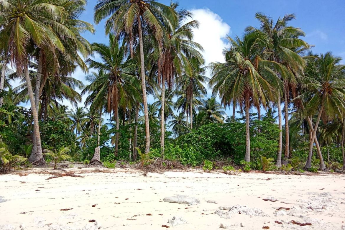 Land for Sale in Daku, General Luna, Surigao del Norte – photo 8