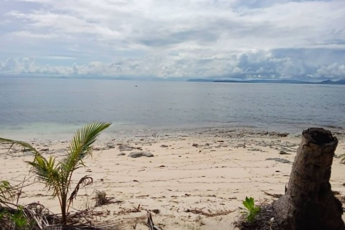 Land for Sale in Daku, General Luna, Surigao del Norte – photo 5