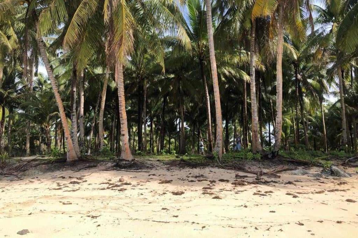 Land for Sale in Daku, General Luna, Surigao del Norte – photo 2