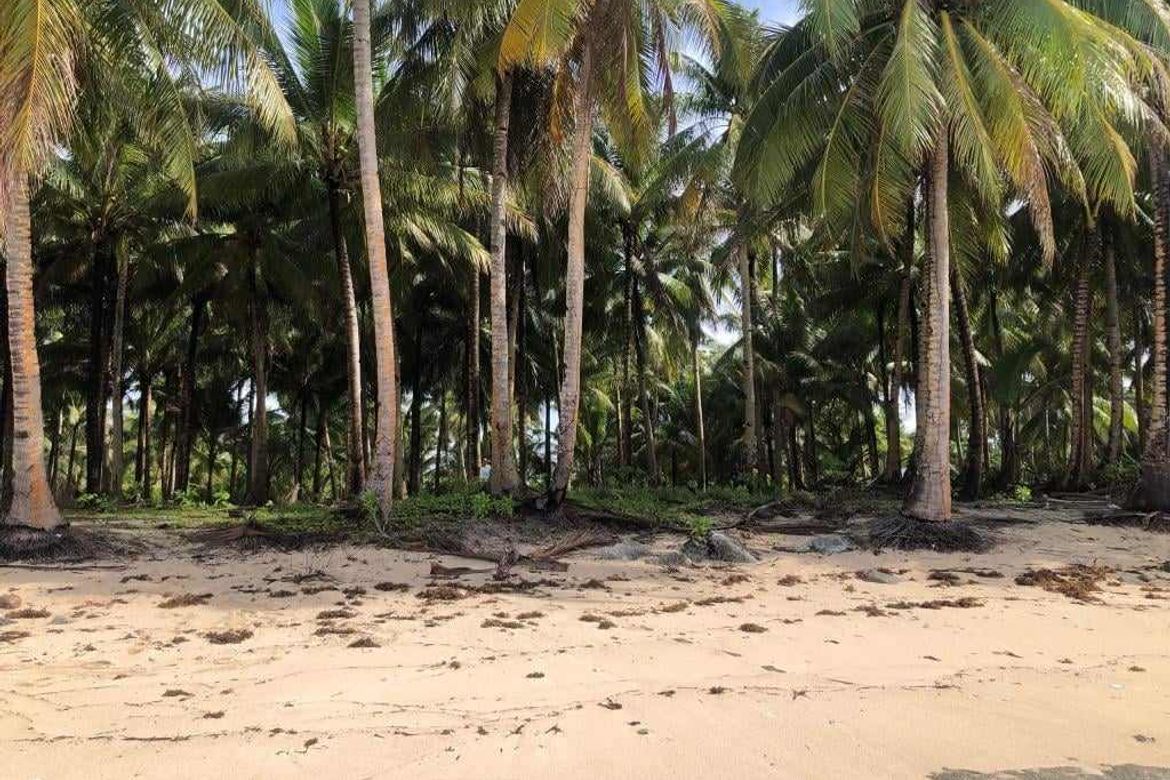 Land for Sale in Daku, General Luna, Surigao del Norte – photo 3