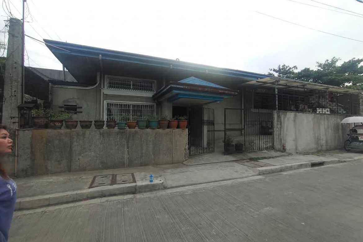 Land for Sale in Dalandanan, Valenzuela, Metro Manila – photo 3