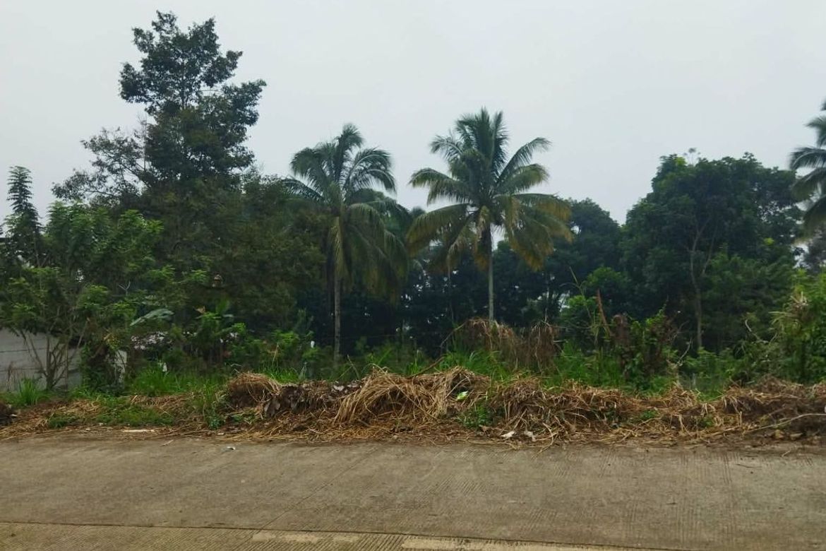 Land for Sale in Daliaon Plantation, Davao City, Davao del Sur – photo 4