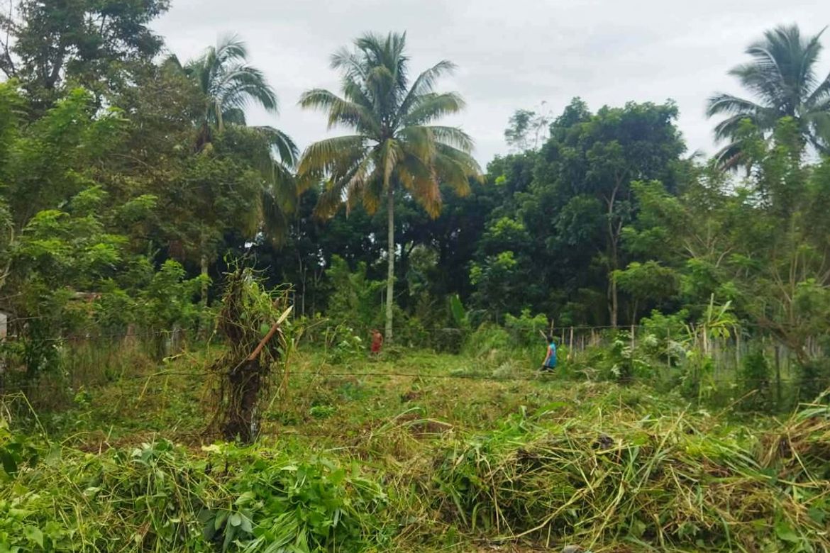Land for Sale in Daliaon Plantation, Davao City, Davao del Sur – photo 6