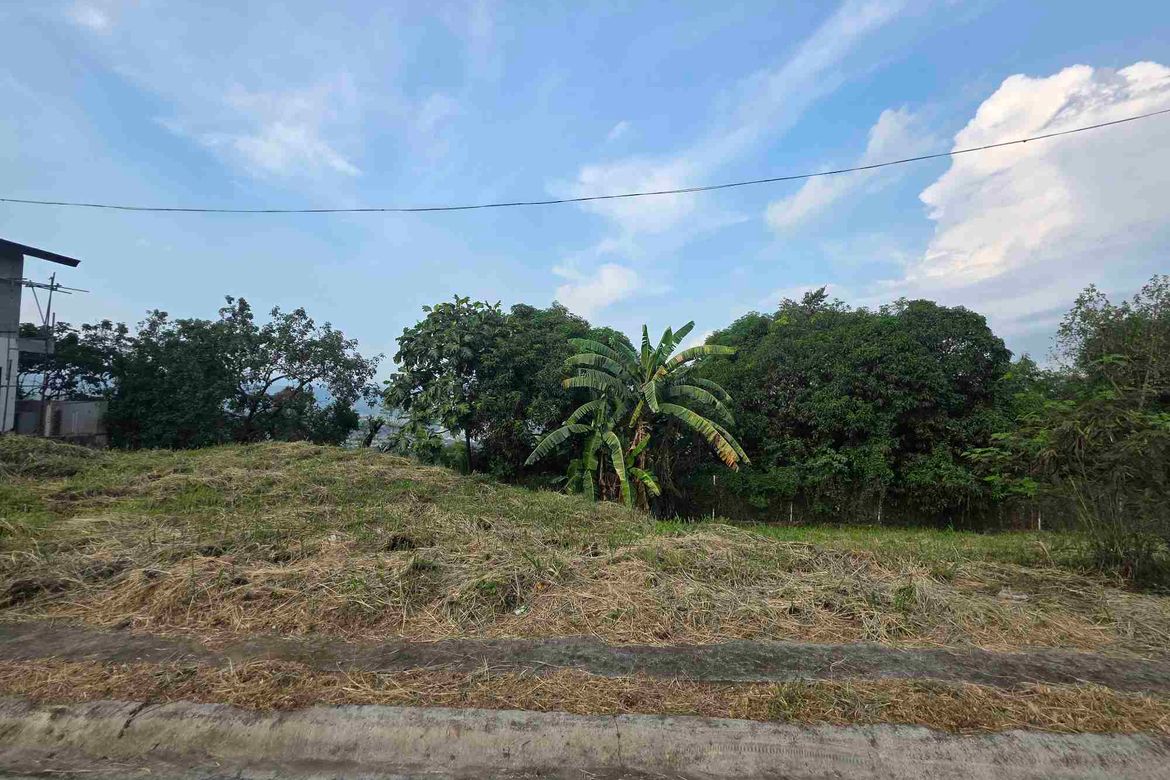 Land for Sale in Dalig, Antipolo, Rizal – photo 3