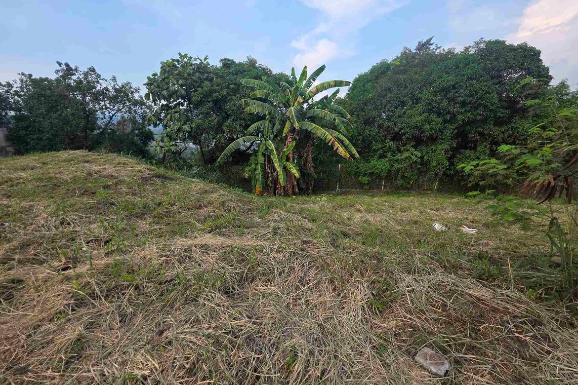 Land for Sale in Dalig, Antipolo, Rizal – photo 5