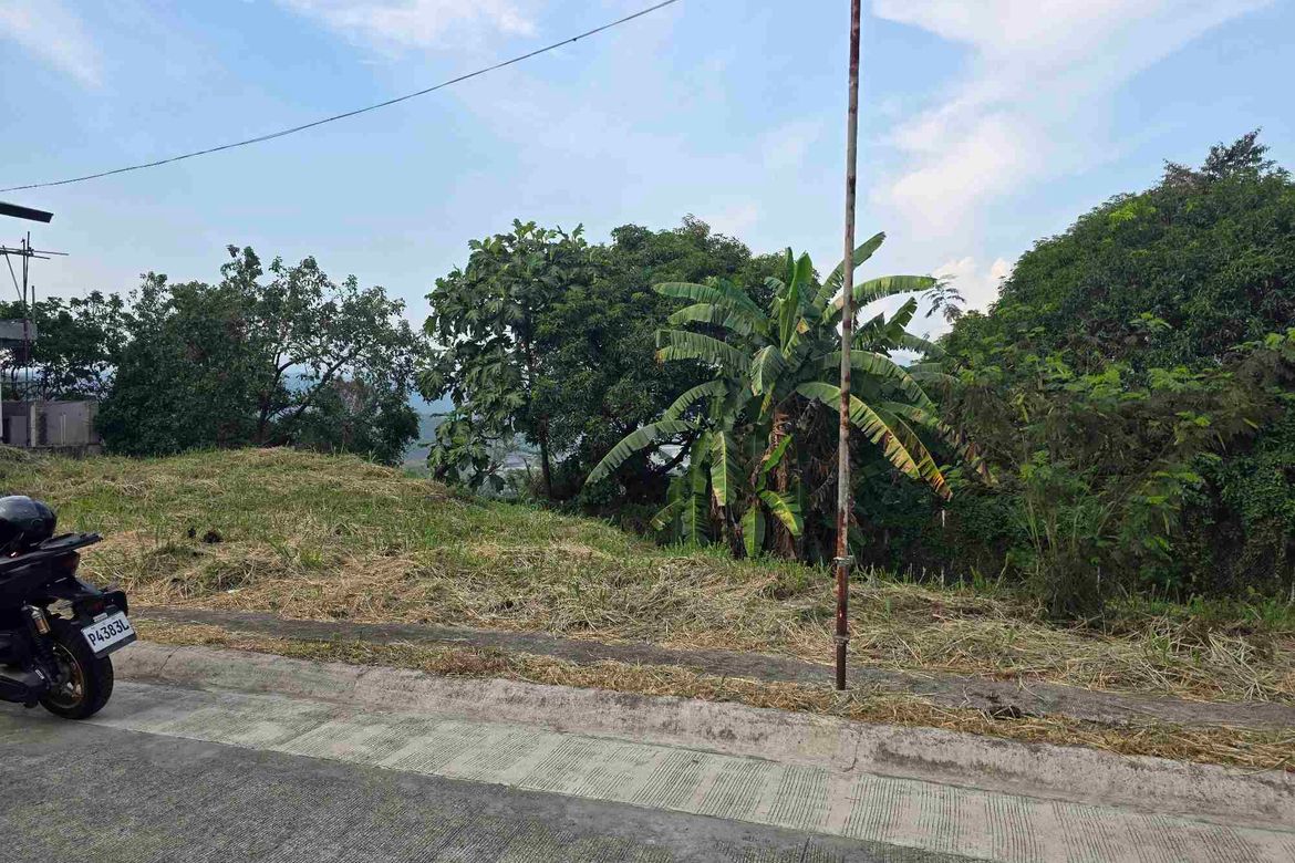 Land for Sale in Dalig, Antipolo, Rizal – photo 8
