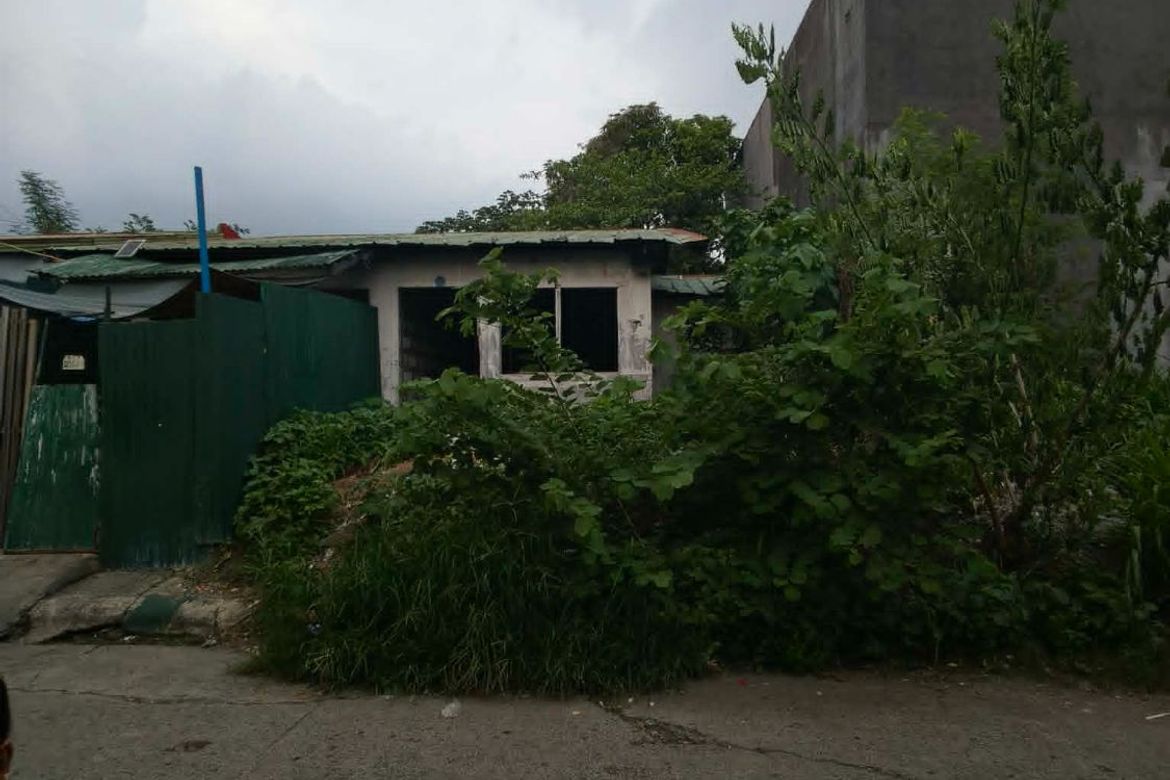 Land for Sale in Dalig, Teresa, Rizal