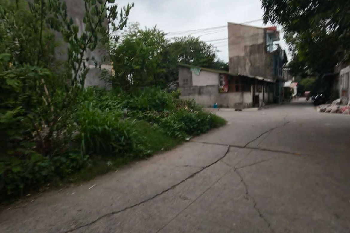 Land for Sale in Dalig, Teresa, Rizal – photo 2