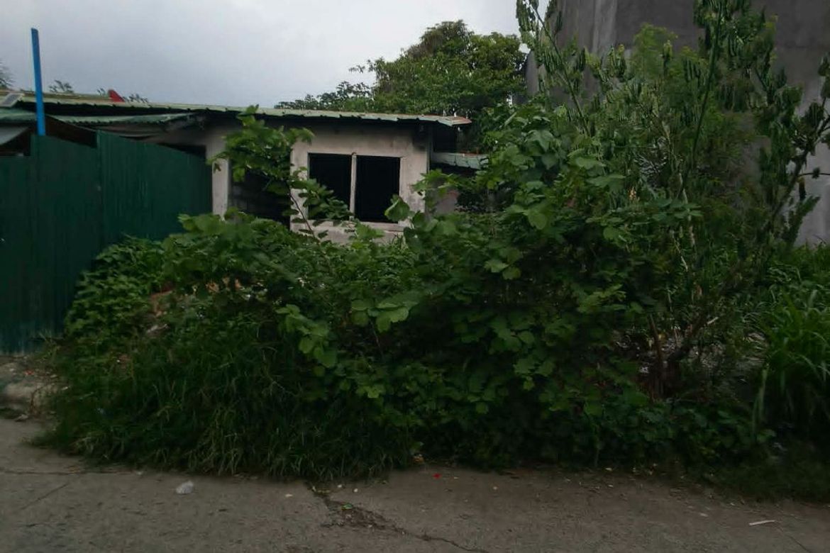Land for Sale in Dalig, Teresa, Rizal – photo 3