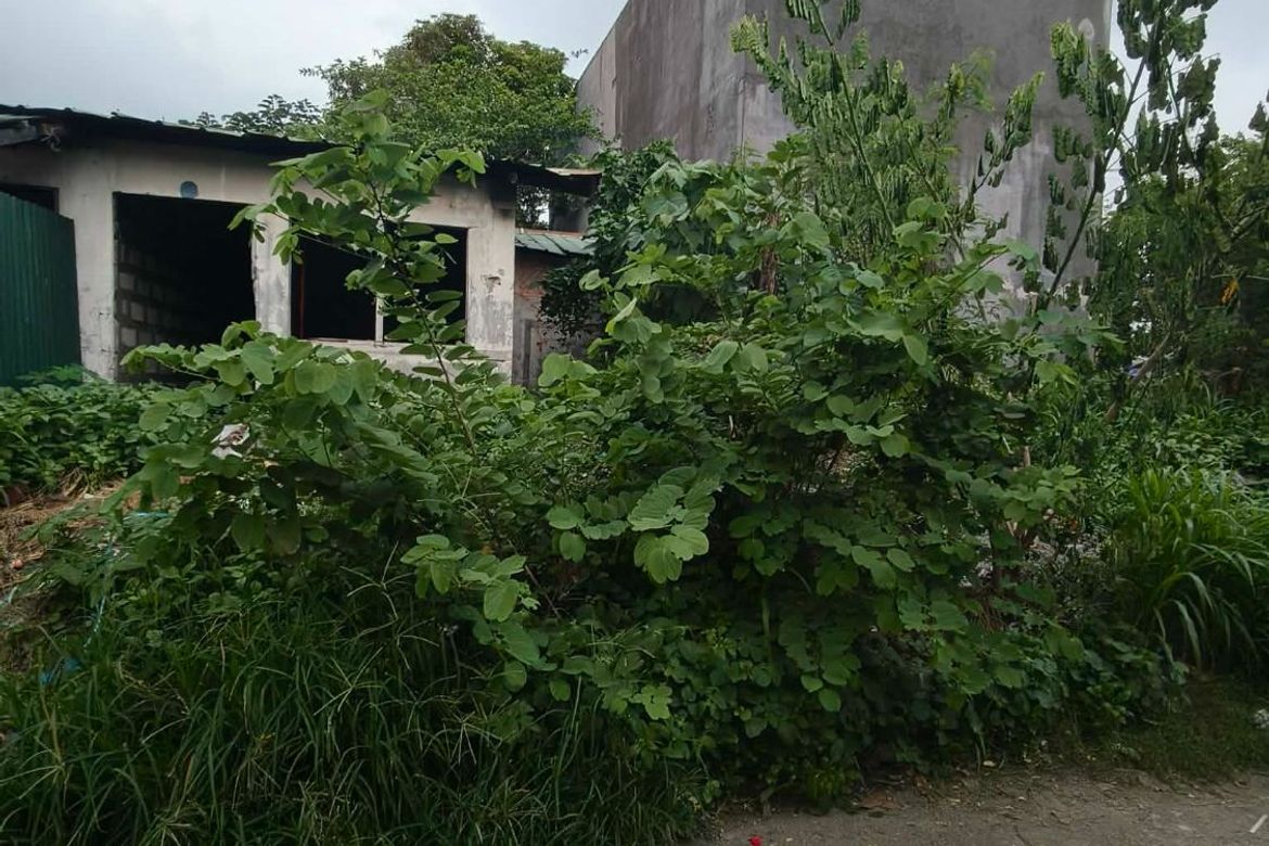 Land for Sale in Dalig, Teresa, Rizal – photo 6