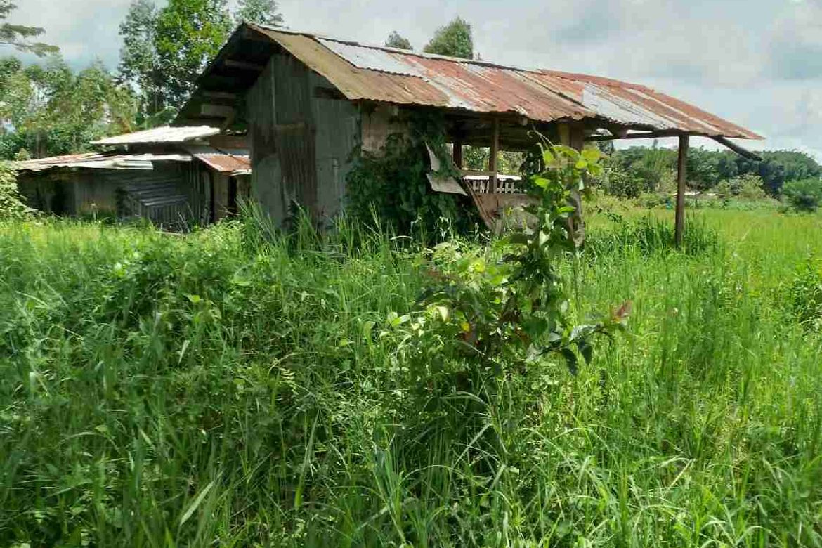 Land for Sale in Dalwangan, Malaybalay, Bukidnon – photo 5