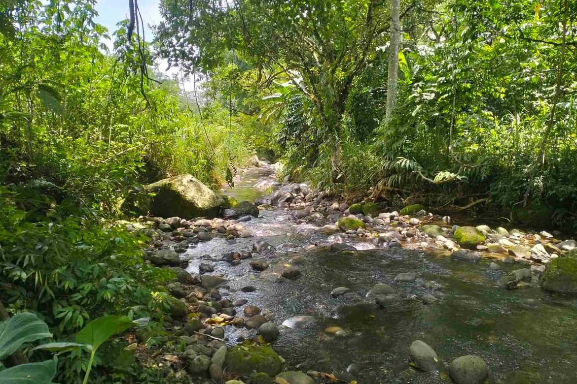 Land for Sale in Dalwangan, Malaybalay, Bukidnon