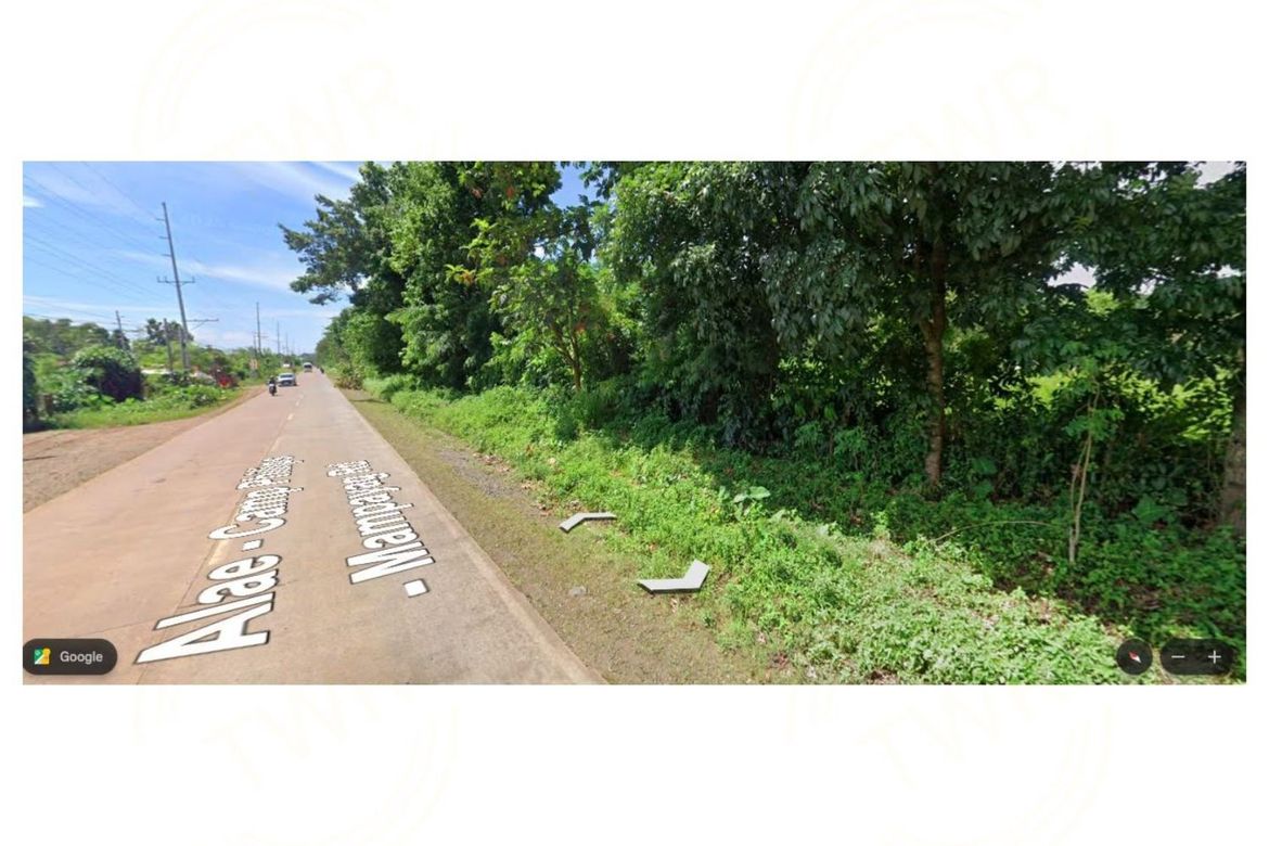 Land for Sale in Damilag, Manolo Fortich, Bukidnon – photo 2