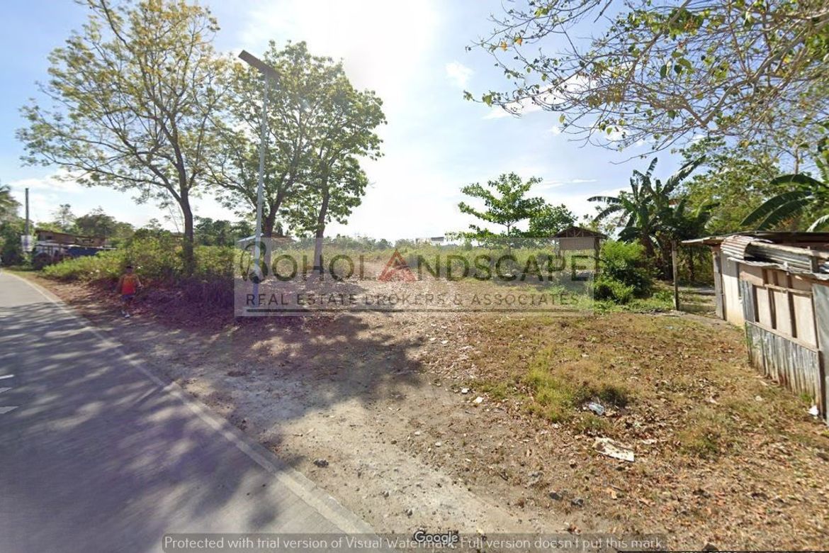 Land for Sale in Dampas, Tagbilaran, Bohol
