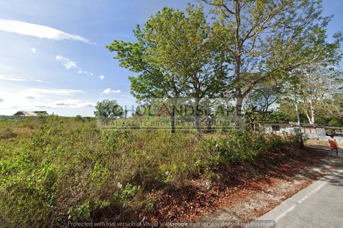 Land for Sale in Dampas, Tagbilaran, Bohol – photo 6
