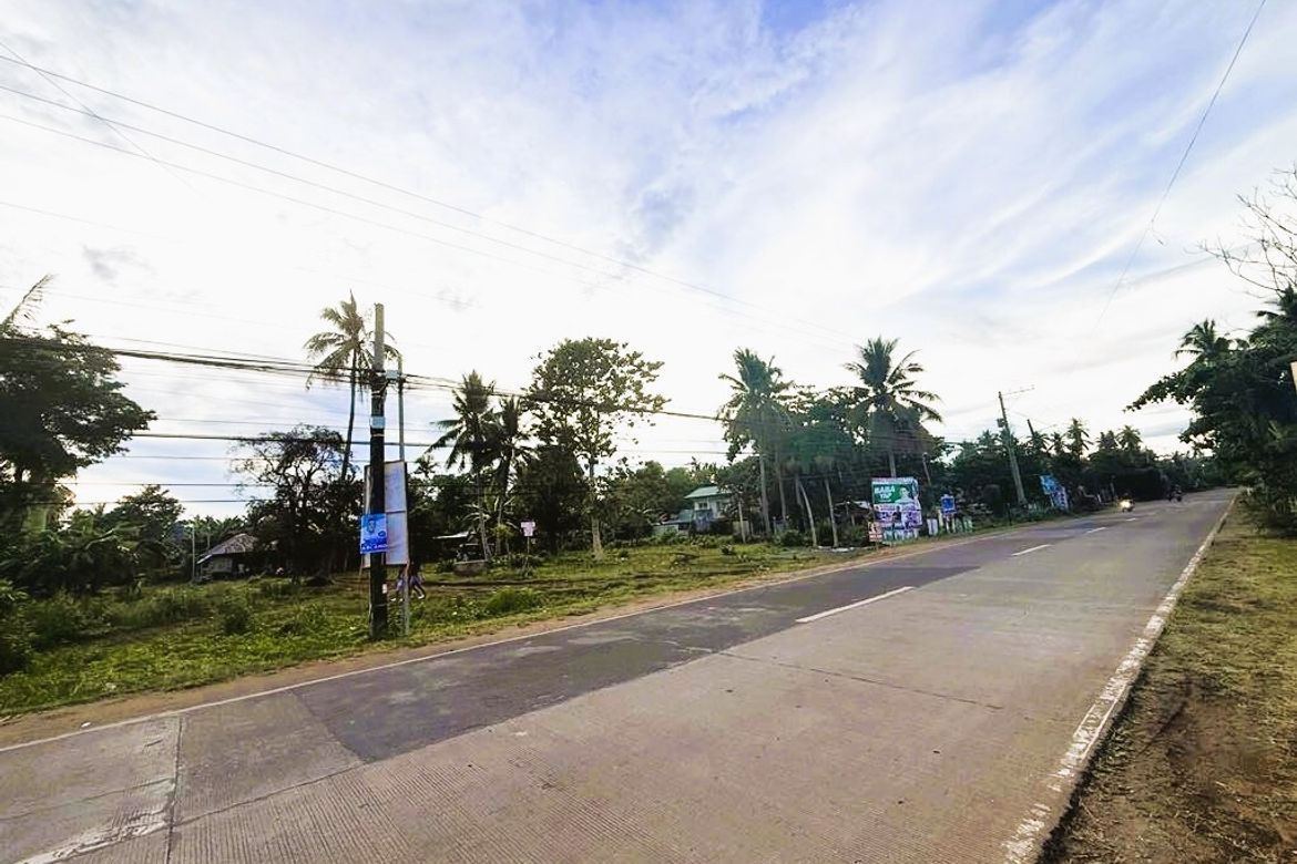 Land for Sale in Danao, Panglao, Bohol – photo 2