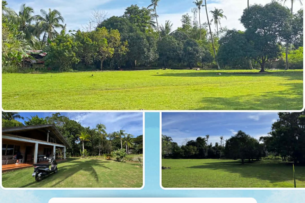 Land for Sale in Danao, Panglao, Bohol