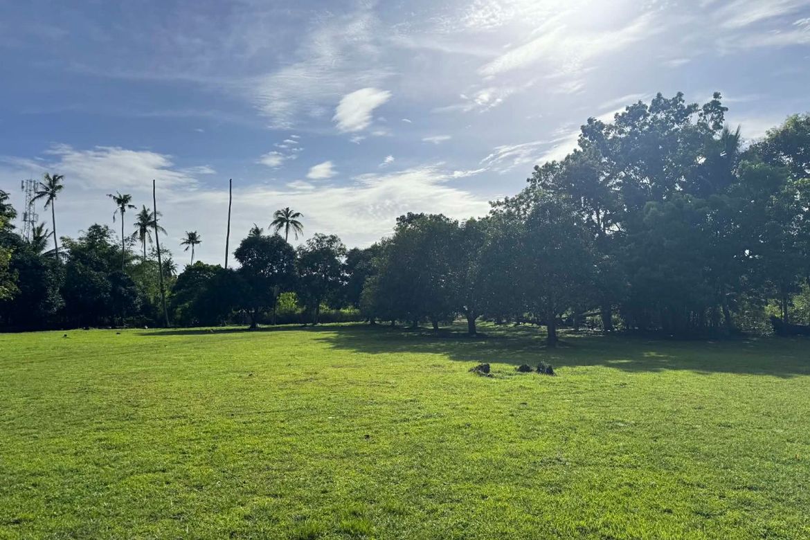 Land for Sale in Danao, Panglao, Bohol – photo 4