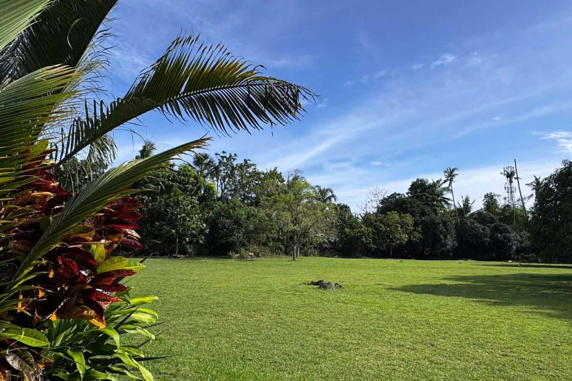 Land for Sale in Danao, Panglao, Bohol – photo 6