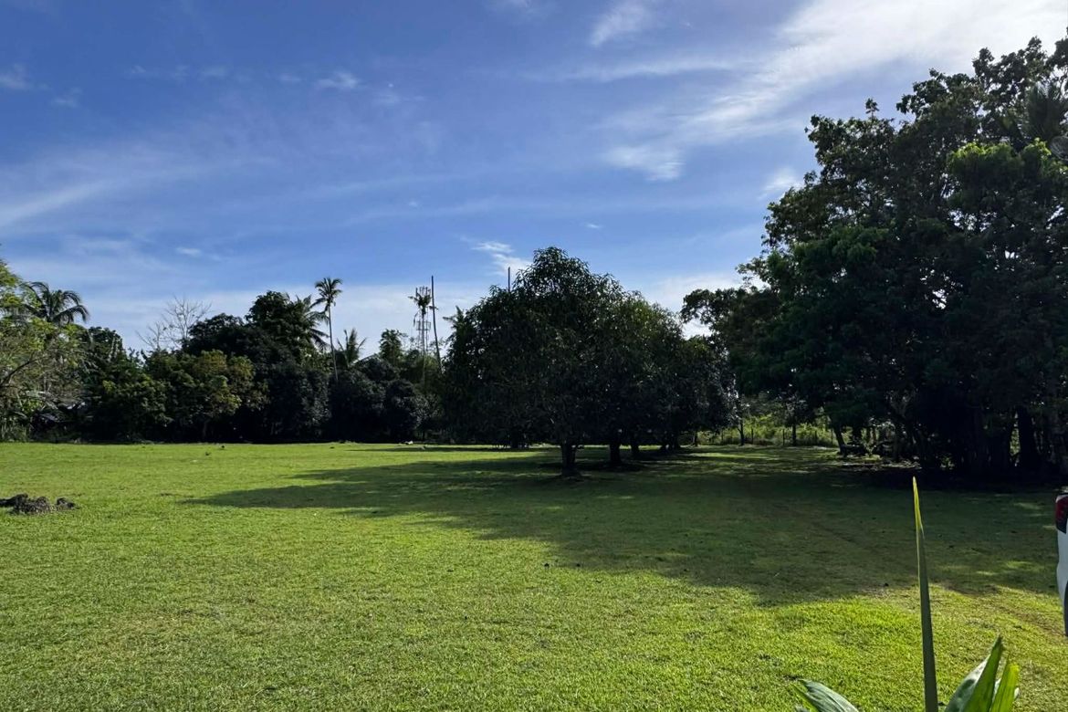 Land for Sale in Danao, Panglao, Bohol – photo 8