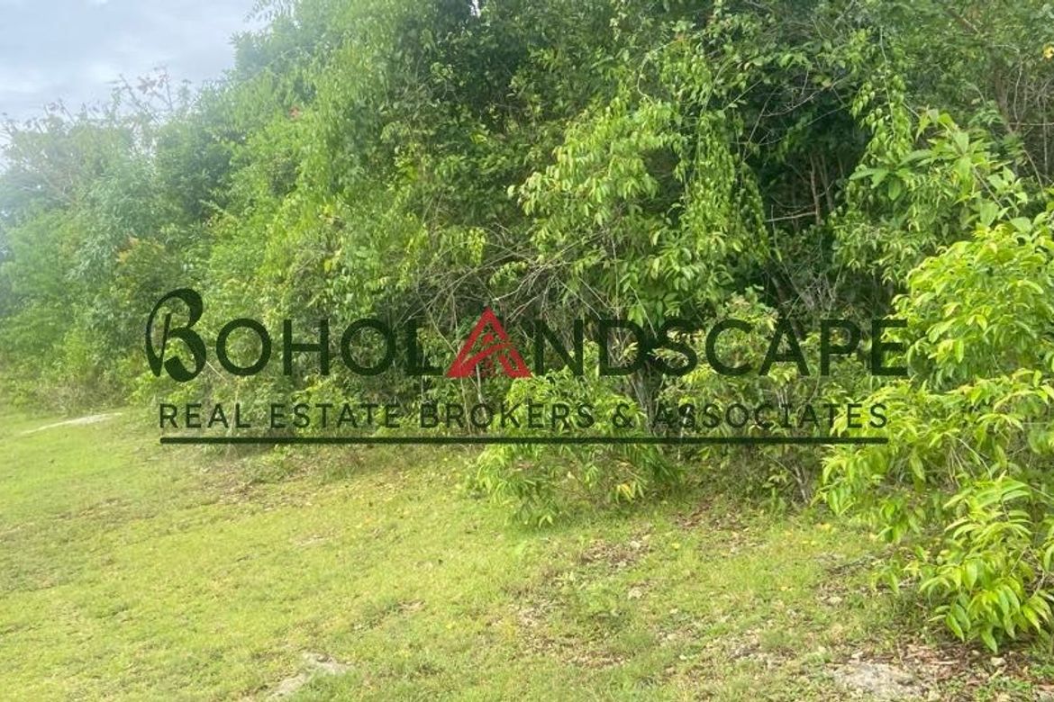 Land for Sale in Danao, Panglao, Bohol – photo 3