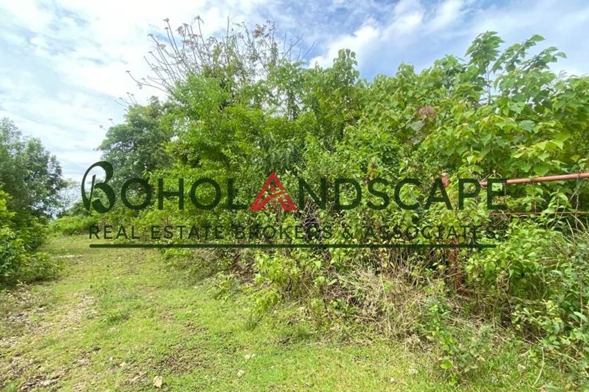 Land for Sale in Danao, Panglao, Bohol – photo 8