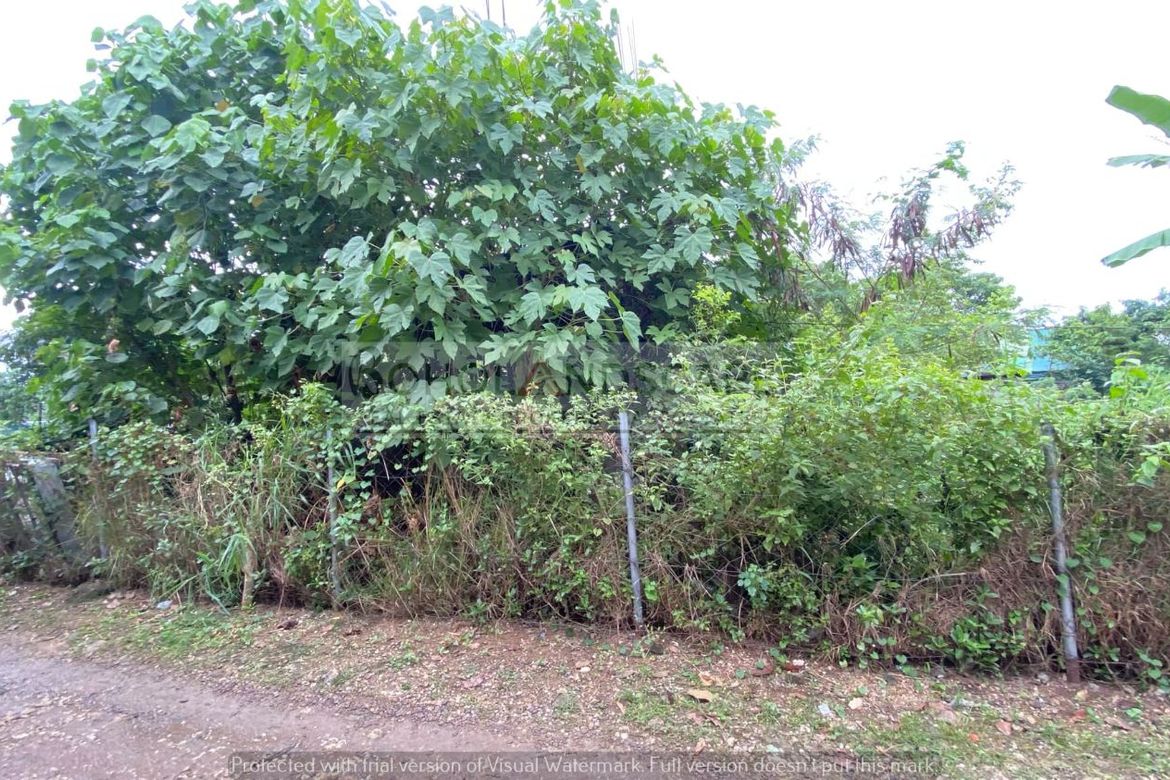 Land for Sale in Danao, Panglao, Bohol – photo 6