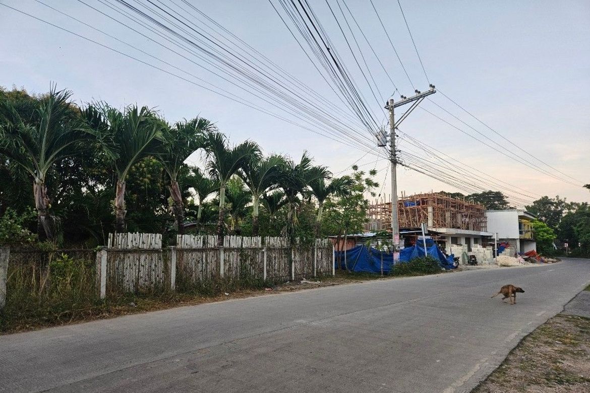 Land for Sale in Danao, Panglao, Bohol – photo 3