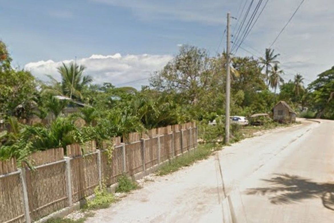 Land for Sale in Danao, Panglao, Bohol – photo 7