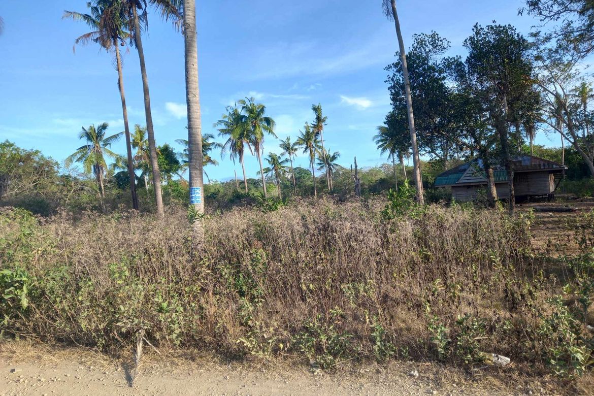 Land for Sale in Danao, Panglao, Bohol – photo 2