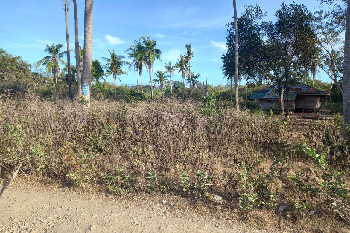 Land for Sale in Danao, Panglao, Bohol – photo 3