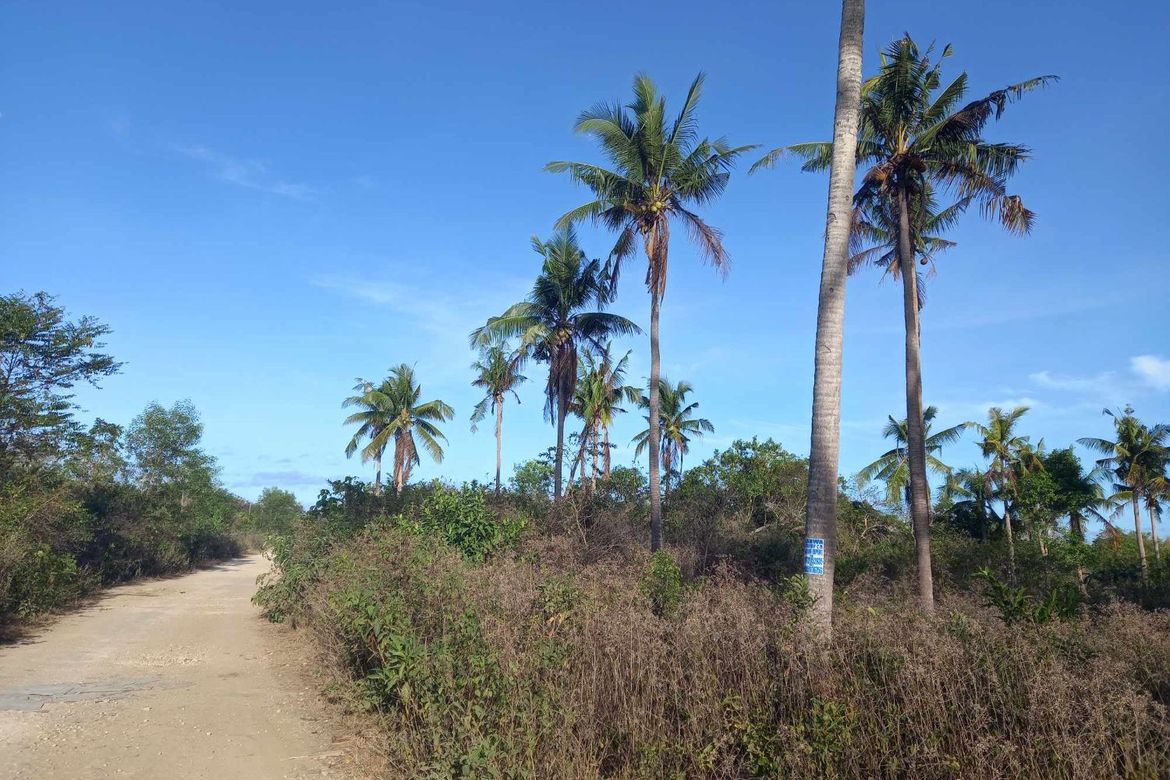 Land for Sale in Danao, Panglao, Bohol – photo 4