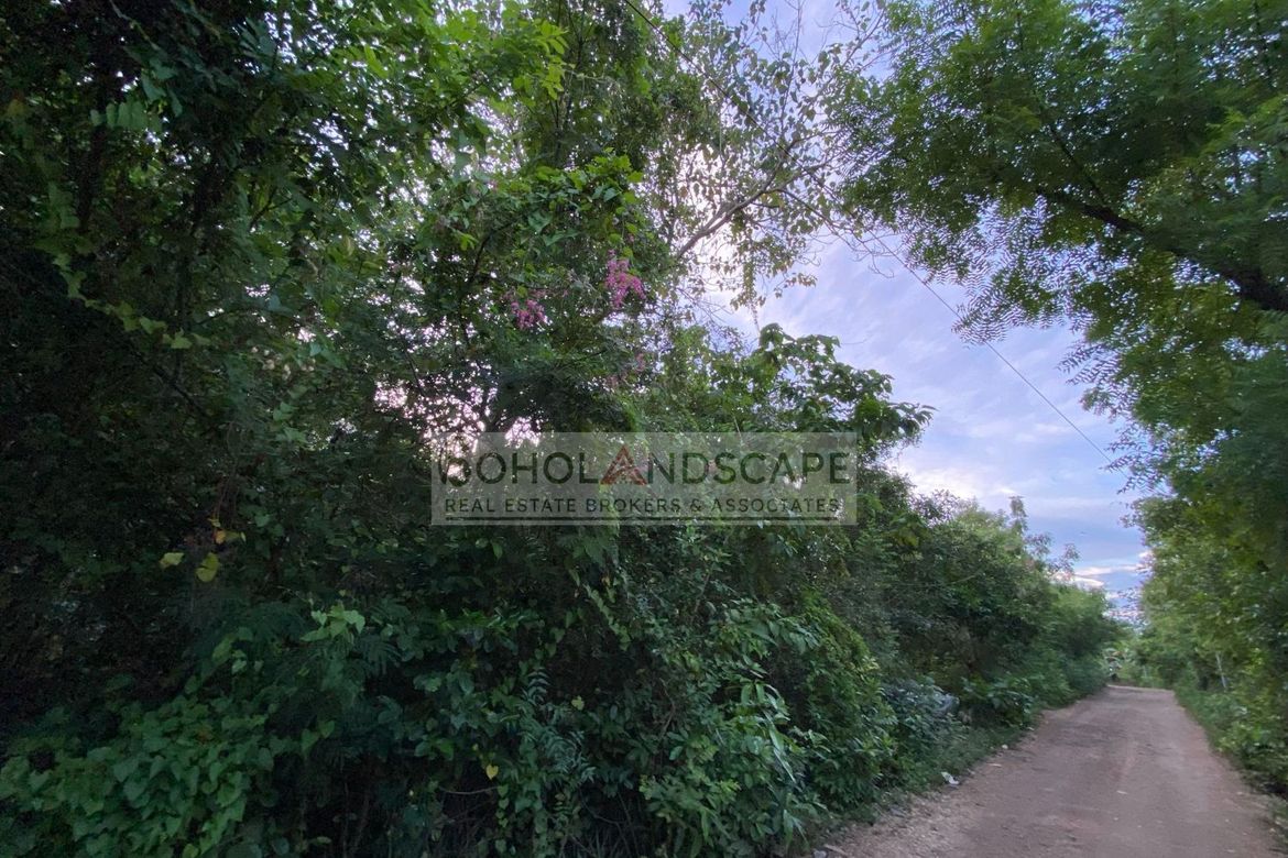 Land for Sale in Danao, Panglao, Bohol – photo 3