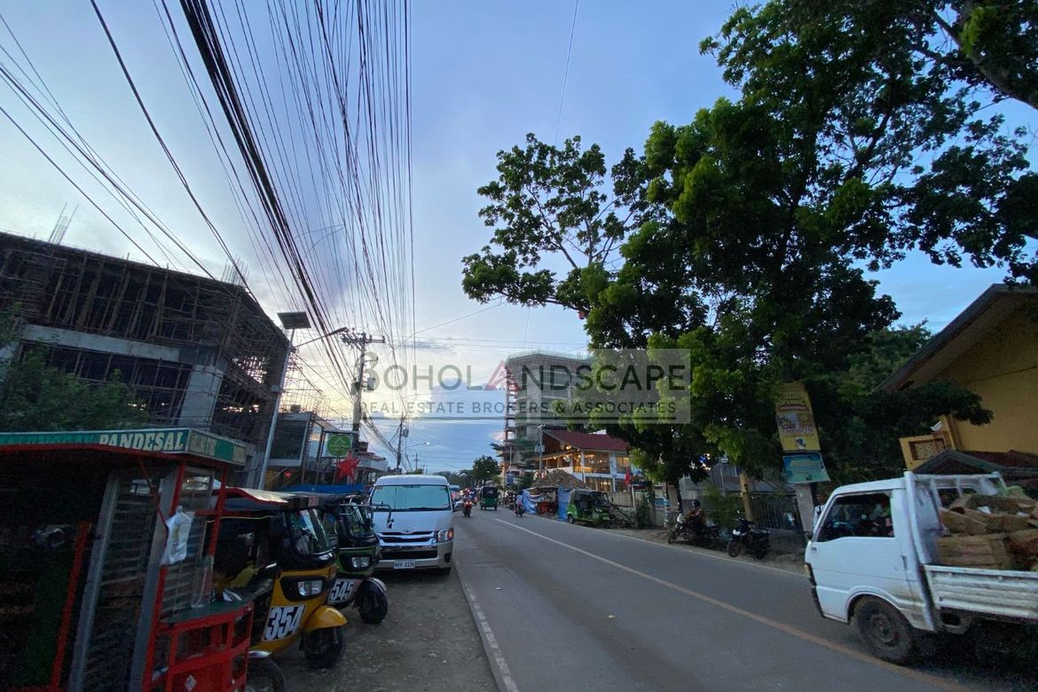 Land for Sale in Danao, Panglao, Bohol – photo 4