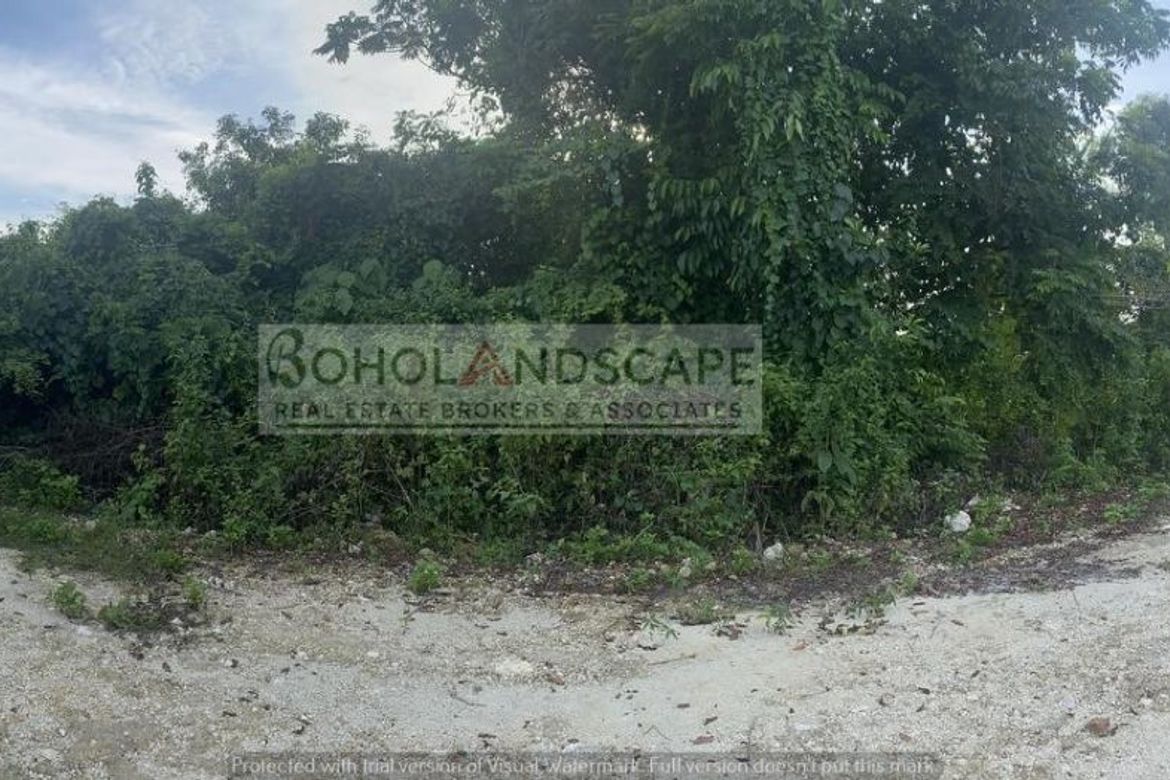 Land for Sale in Danao, Panglao, Bohol – photo 5
