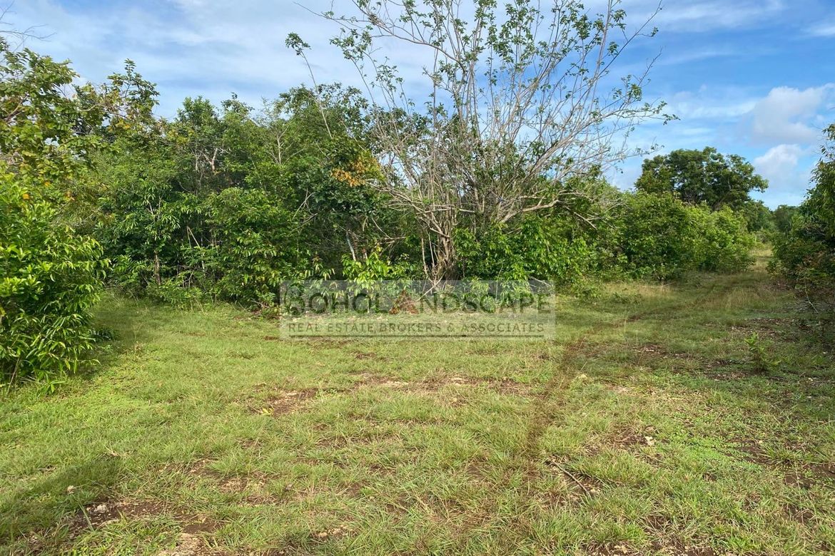 Land for Sale in Danao, Panglao, Bohol