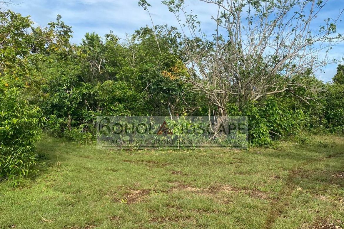 Land for Sale in Danao, Panglao, Bohol – photo 5