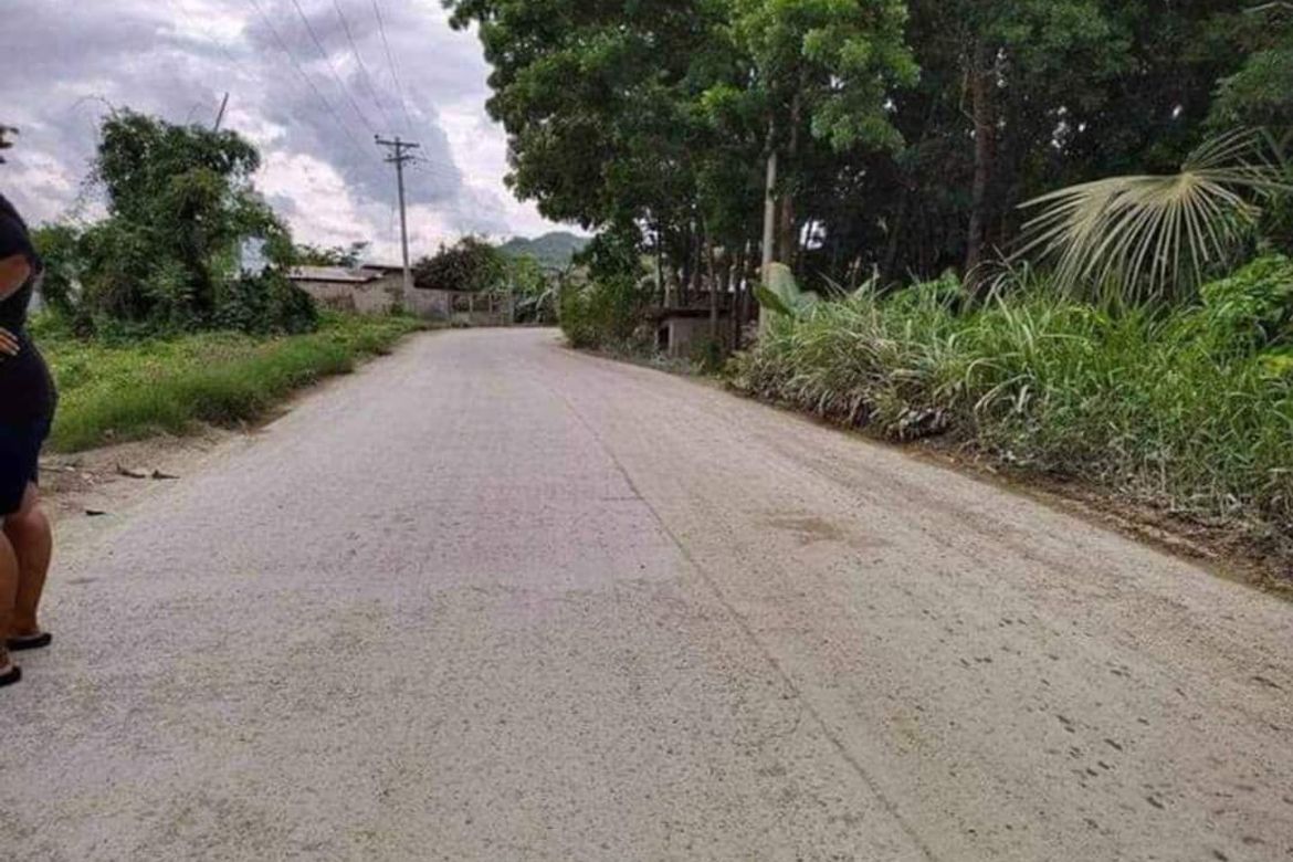 Land for Sale in Danglag, Consolacion, Cebu – photo 4