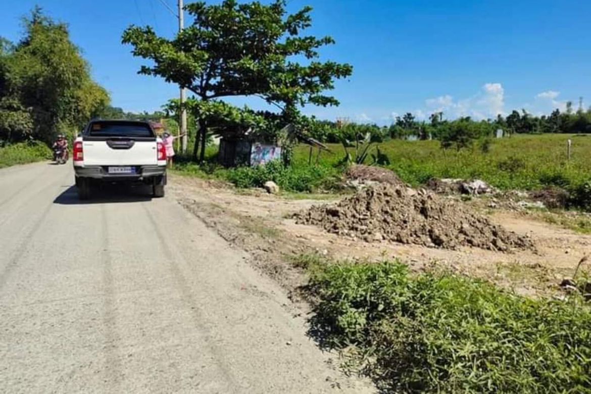 Land for Sale in Danglag, Consolacion, Cebu – photo 6