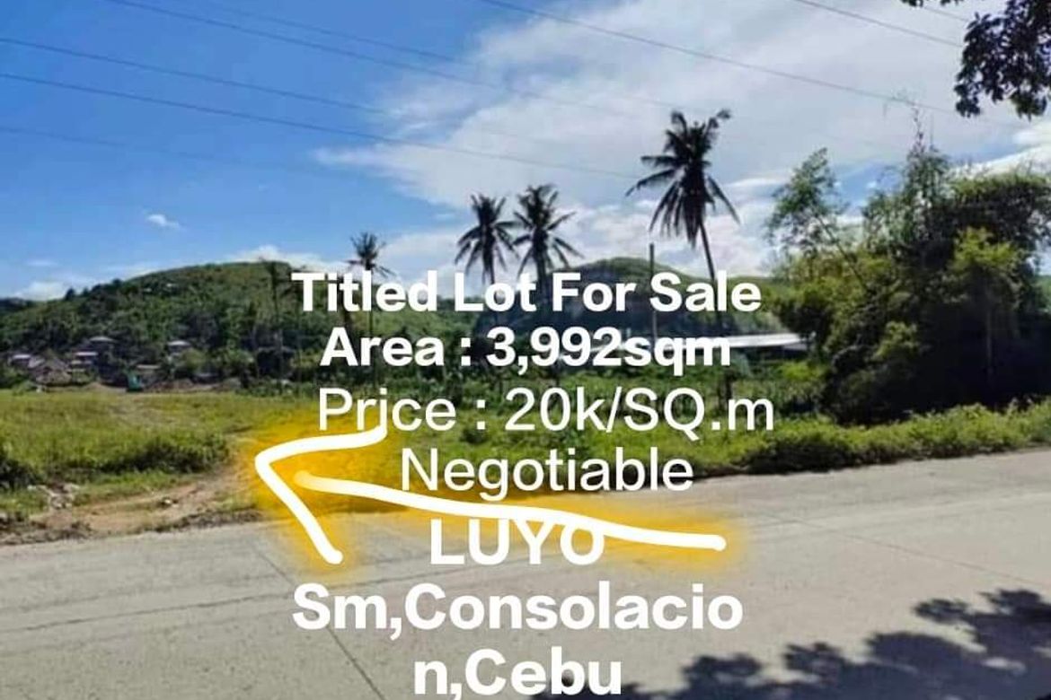 Land for Sale in Danglag, Consolacion, Cebu – photo 7